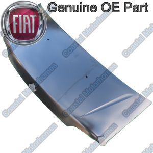 Fits Fiat Ducato Peugeot Boxer Citroen Relay 244 Genuine OE Bonnet (02-06) 