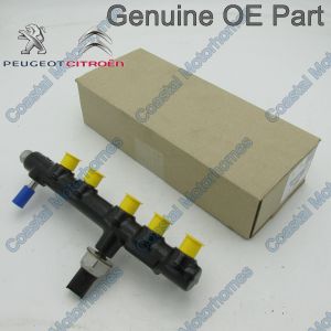 Fits Peugeot Boxer Citroen Relay Injector Fuel Rail 2.0/2.2HDI (14-On)
